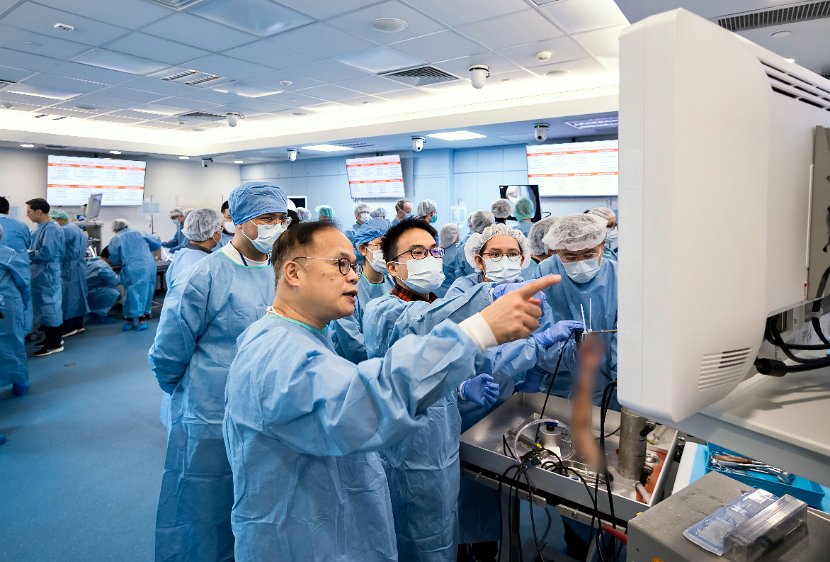 HK Wrist Course 2024 - Workshops  - 91 of 241
